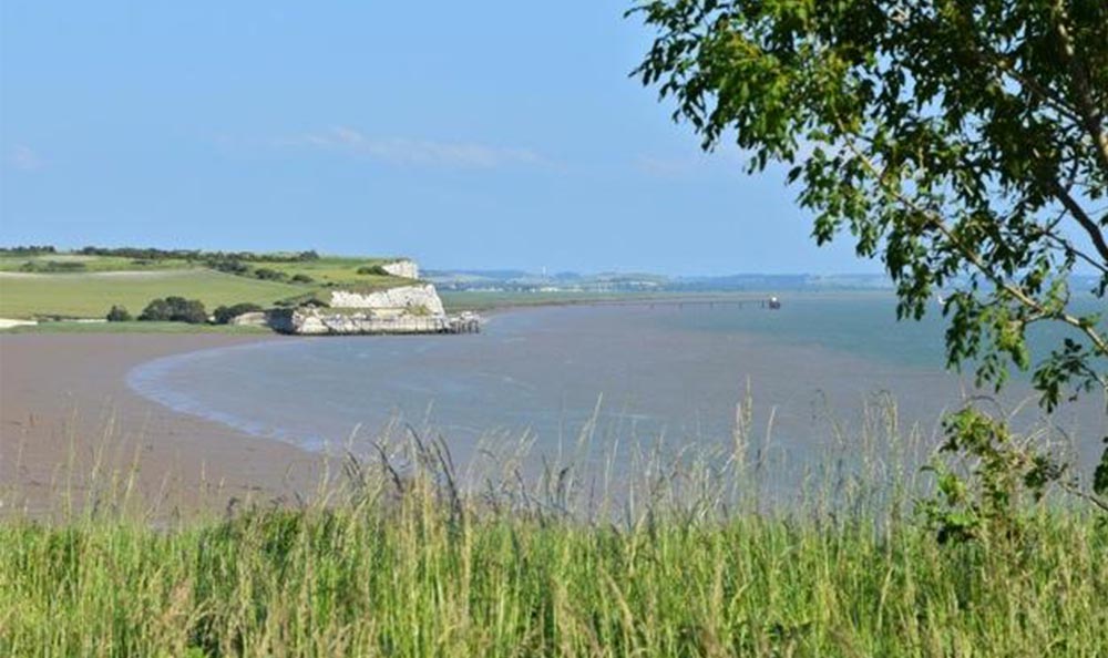 étang